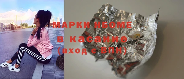 индика Аркадак