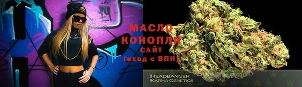 индика Аркадак