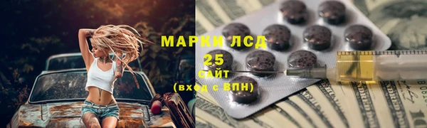 индика Аркадак