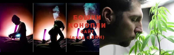 PSILOCYBIN Балахна