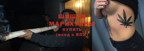 сатива Баксан
