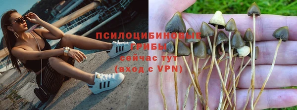 сатива Баксан