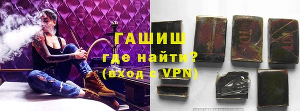 хмурый Арсеньев