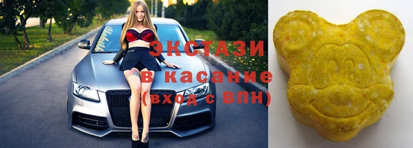 хмурый Арсеньев