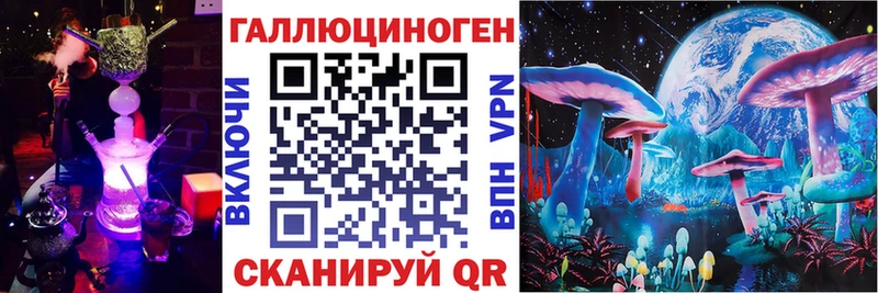 Псилоцибиновые грибы Psilocybine cubensis  наркота  Чернушка 